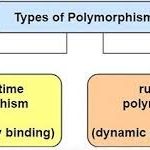 Polymorphism in java