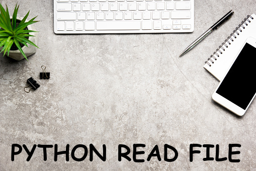 Python Read File